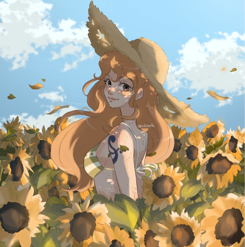 Nami (One Piece) Rule 34 Image