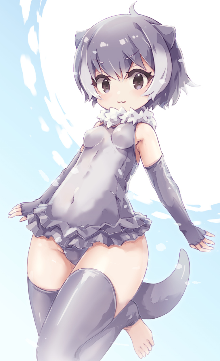 Kemono Friends Rule 34 Image