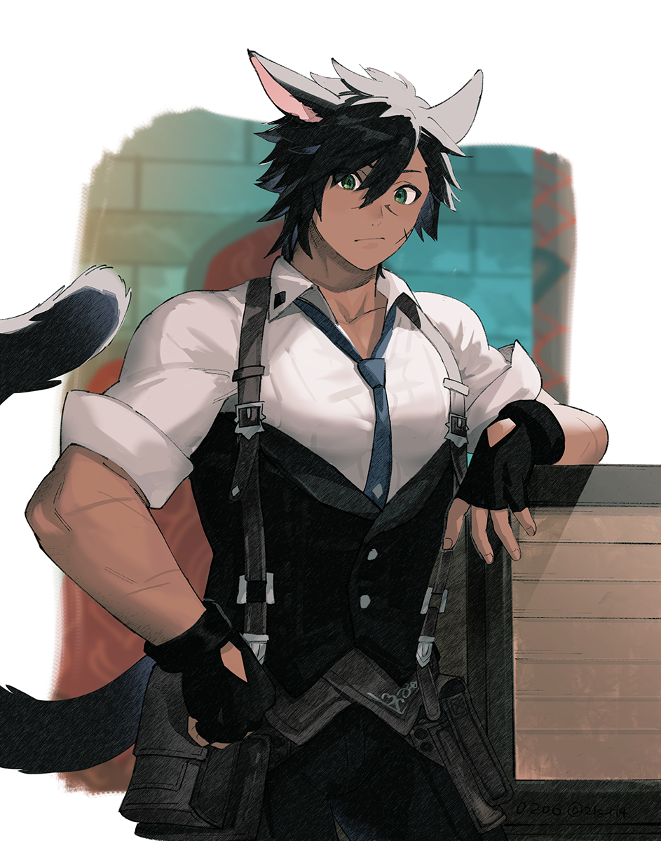Miqo'Te (Final Fantasy) Rule 34 Image