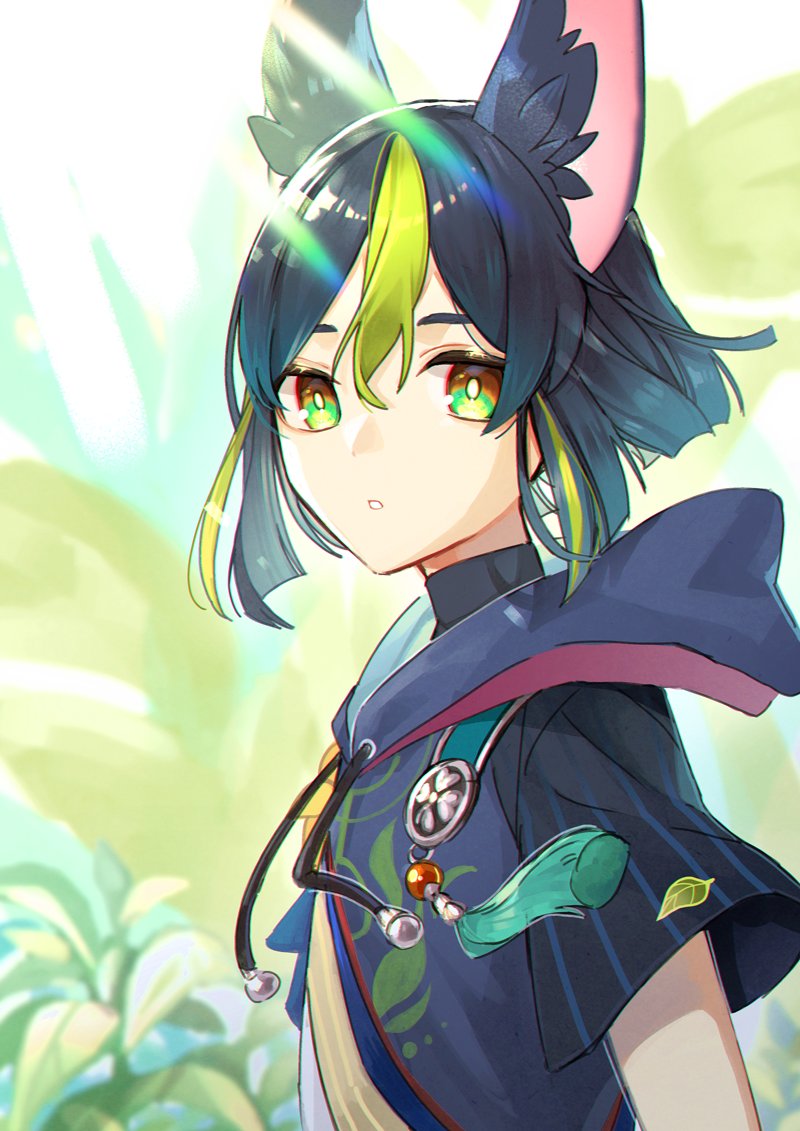 Tighnari (Genshin Impact) Rule 34 Image