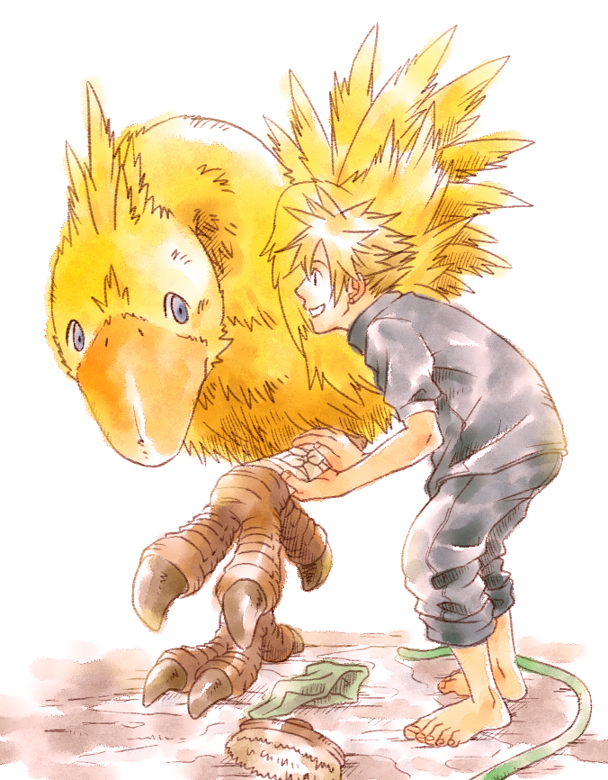 Chocobo (Final Fantasy) Rule 34 Image