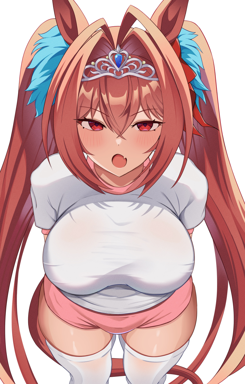 Daiwa Scarlet (Umamusume) Rule 34 Image