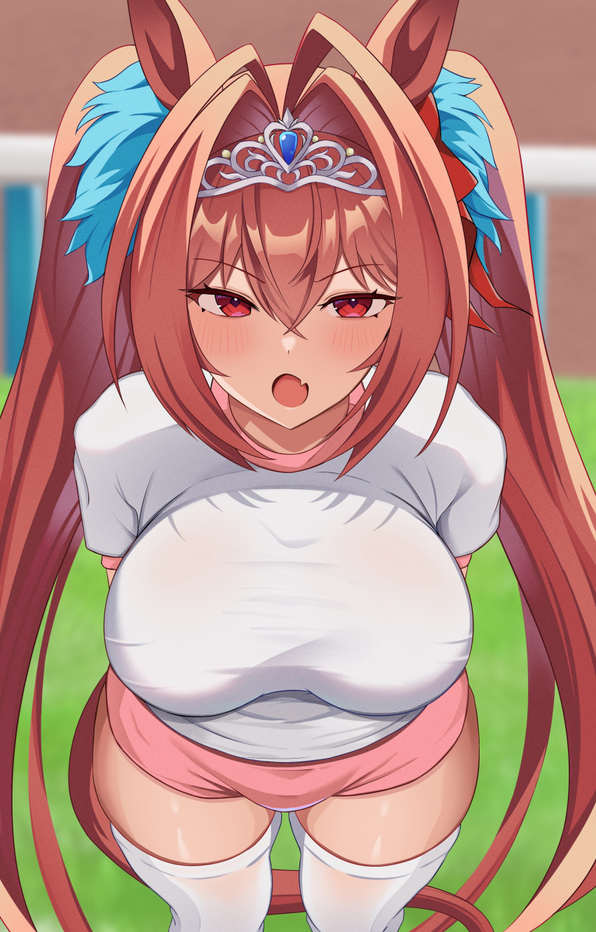 Daiwa Scarlet (Umamusume) Rule 34 Image