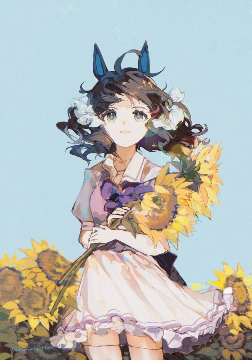 Daring Tact (Umamusume) Rule 34 Image