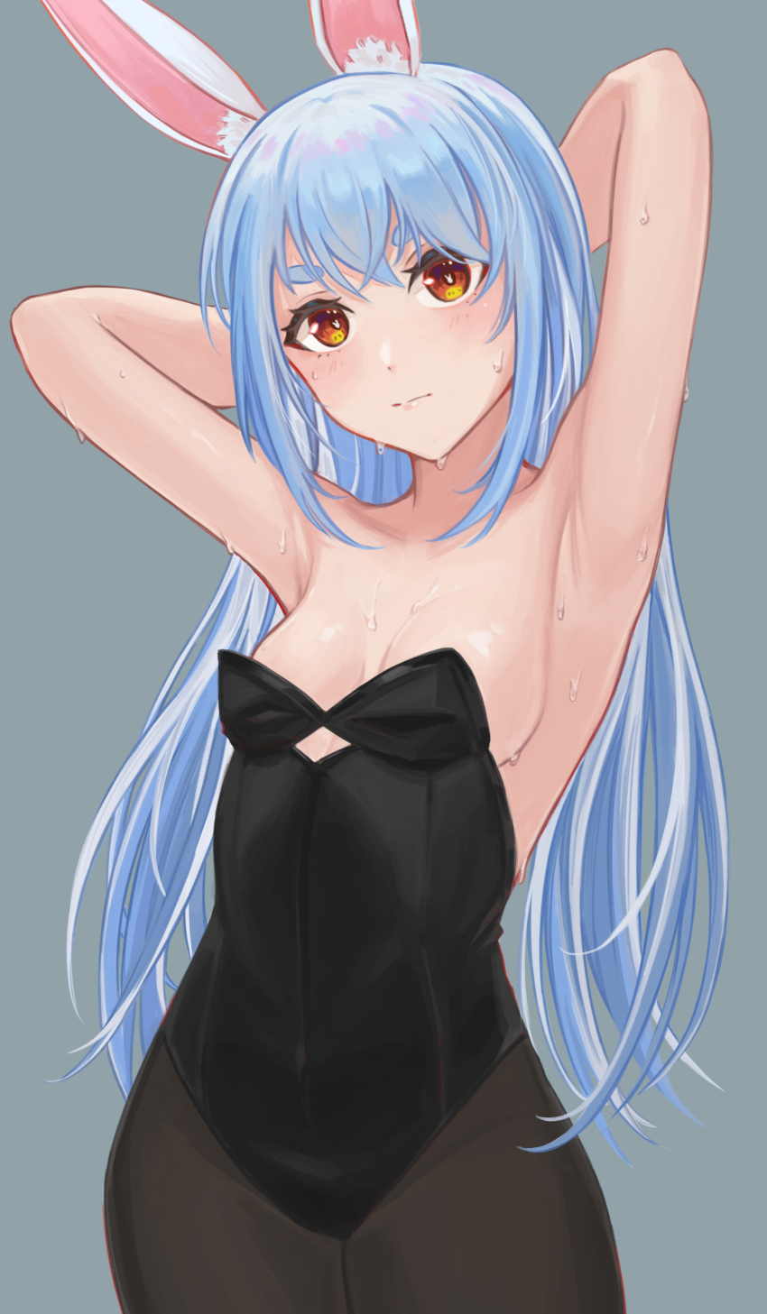 Usada Pekora (Hololive) Rule 34 Image