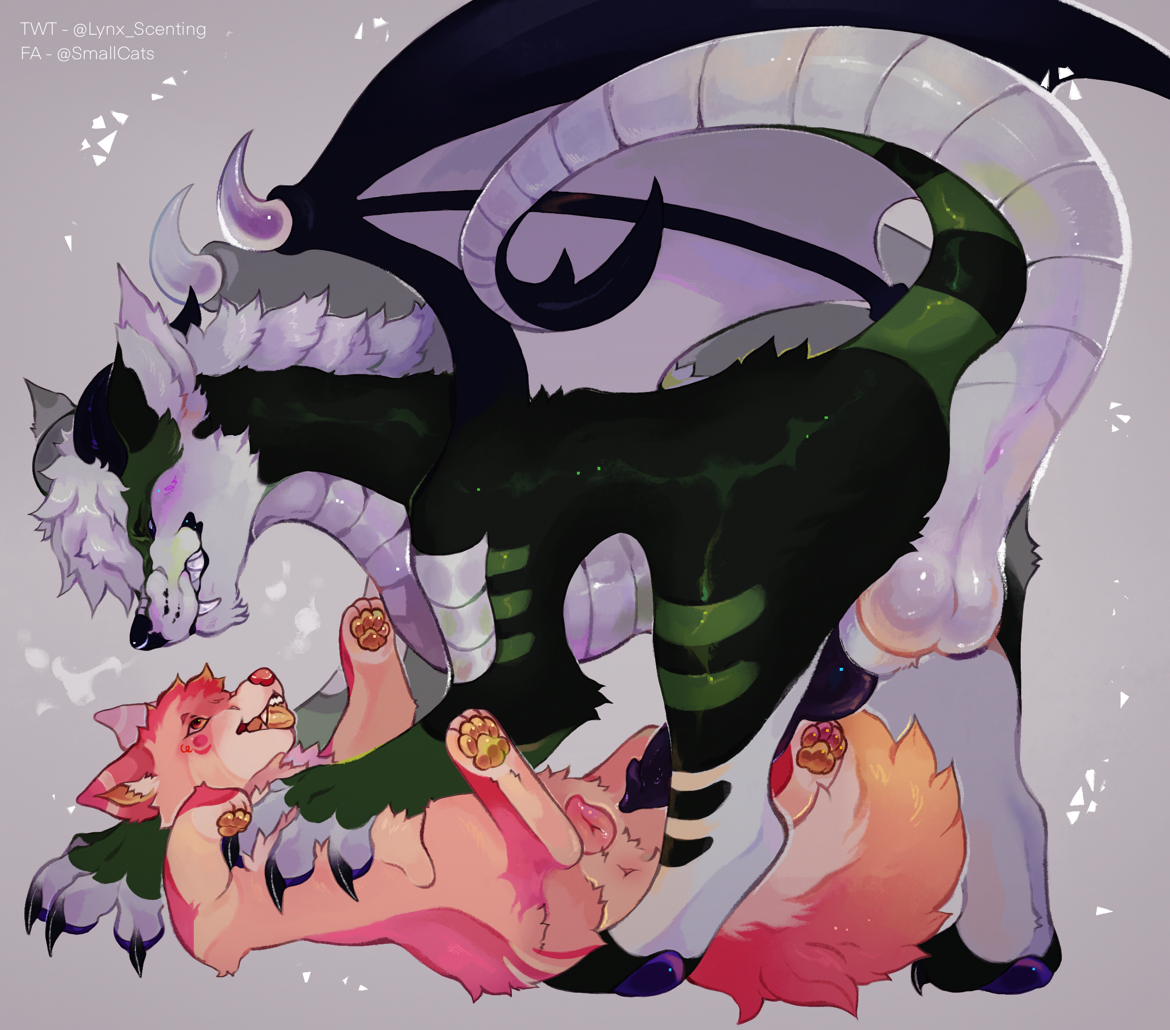 Animal Genitalia Rule 34 Image