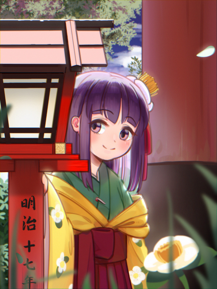 Hieda No Akyuu (Touhou) Rule 34 Image