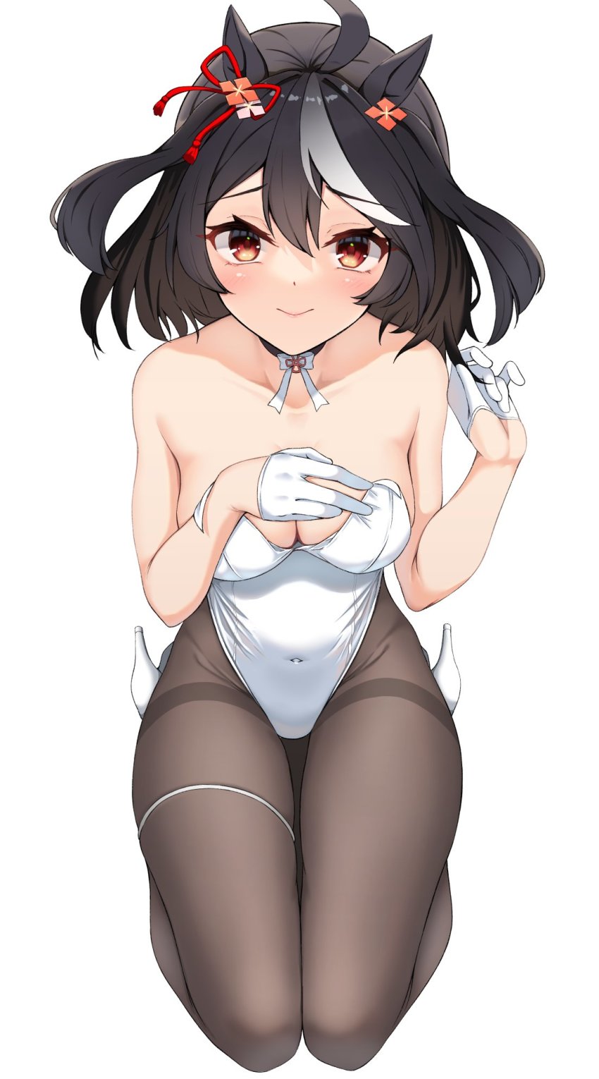 Kitasan Black (Umamusume) Rule 34 Image