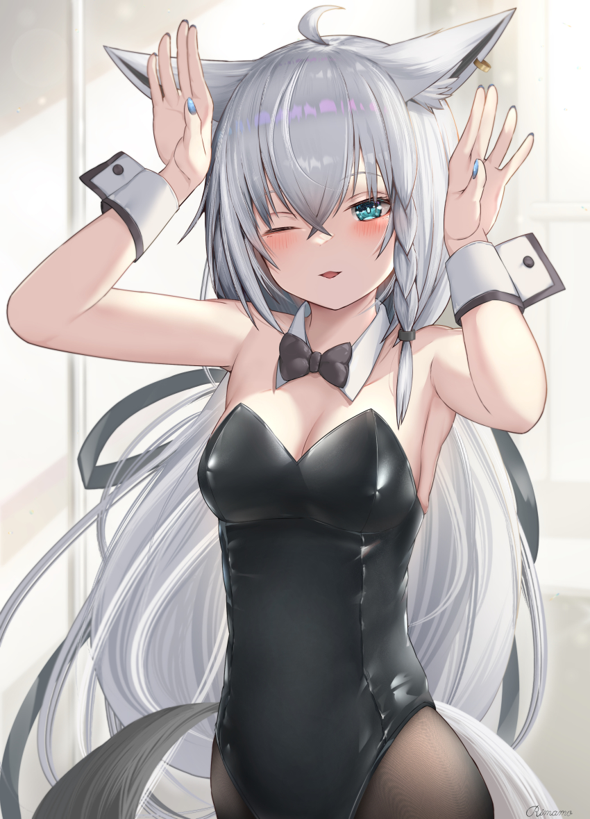 Shirakami Fubuki (Hololive) Rule 34 Image
