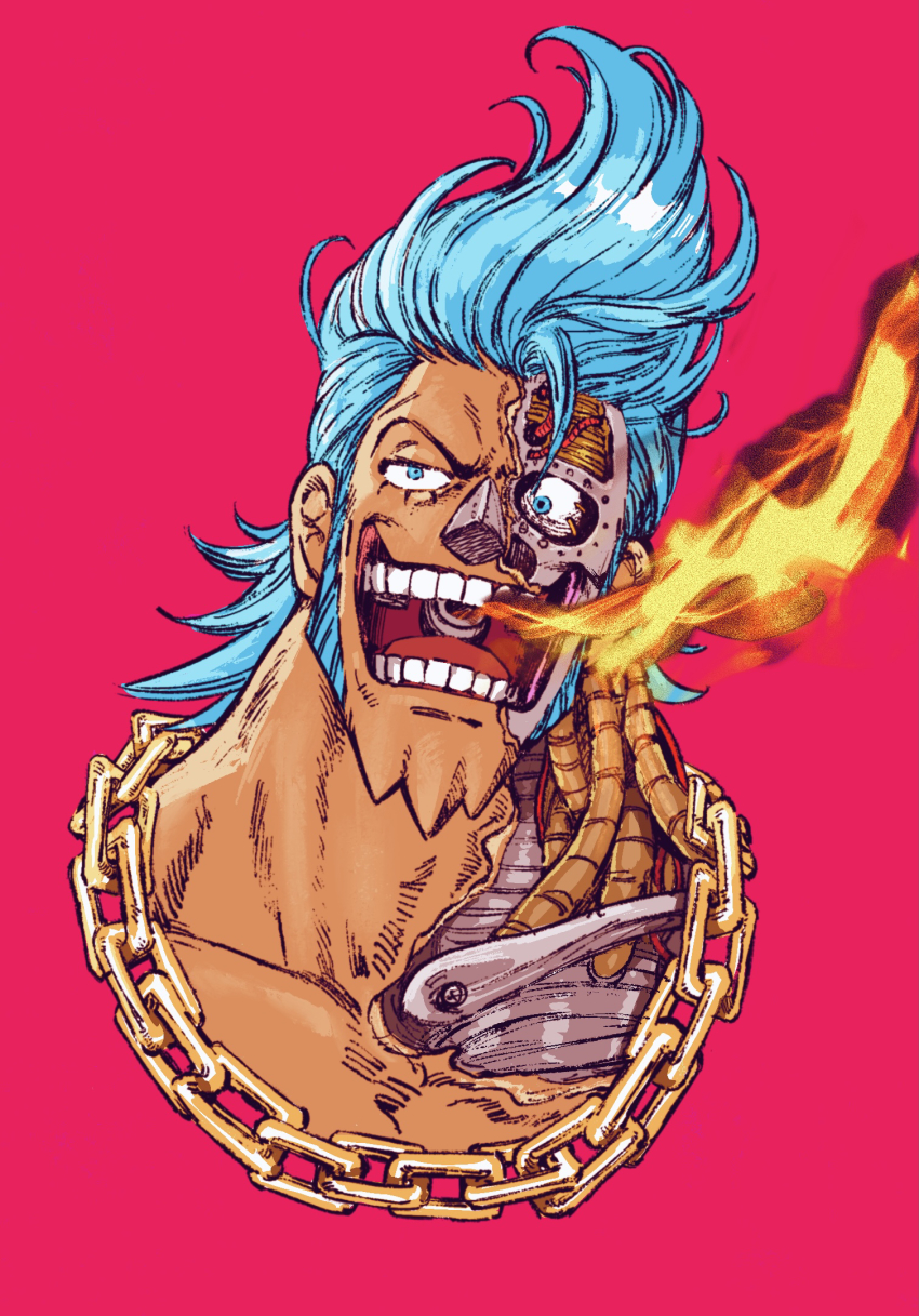 Franky (One Piece) Rule 34 Image