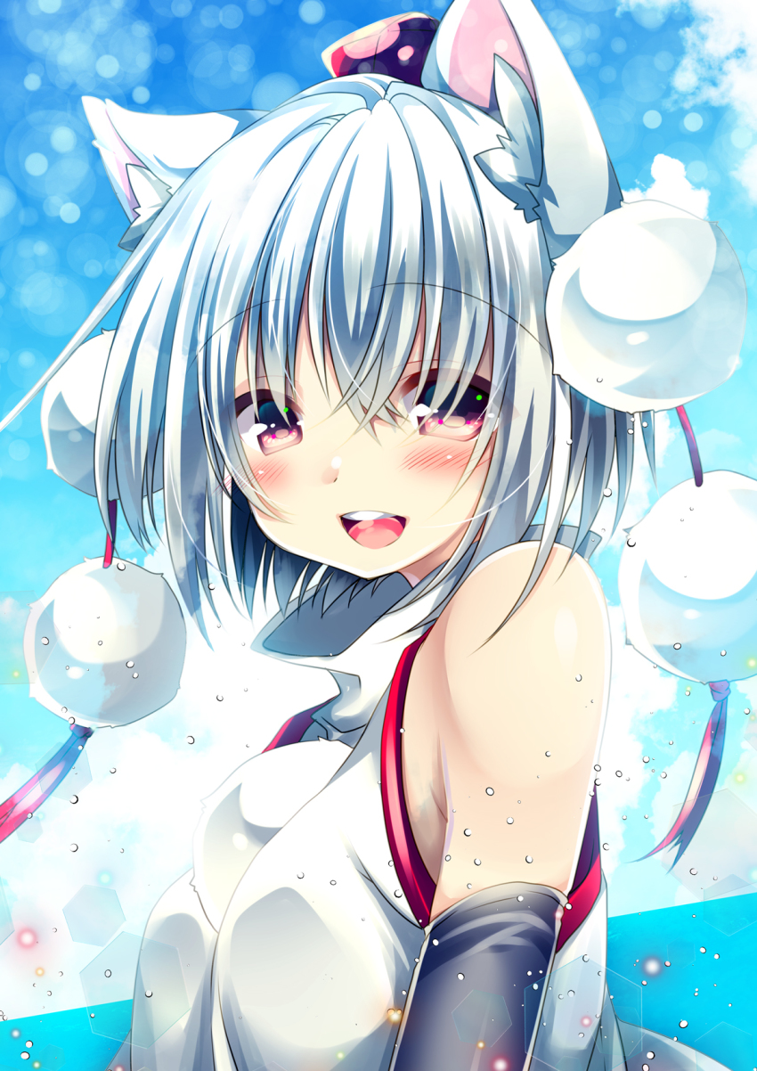 Inubashiri Momiji (Touhou) Rule 34 Image