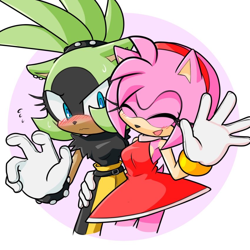 Amy Rose (Sega) Rule 34 Image