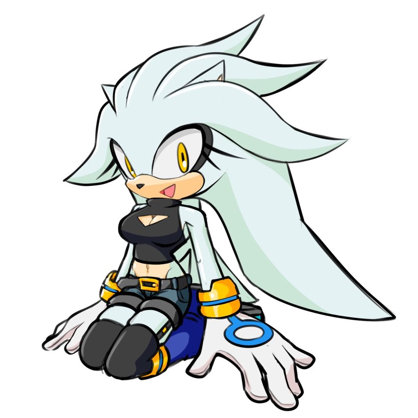 Silver The Hedgehog (Sega) Rule 34 Image