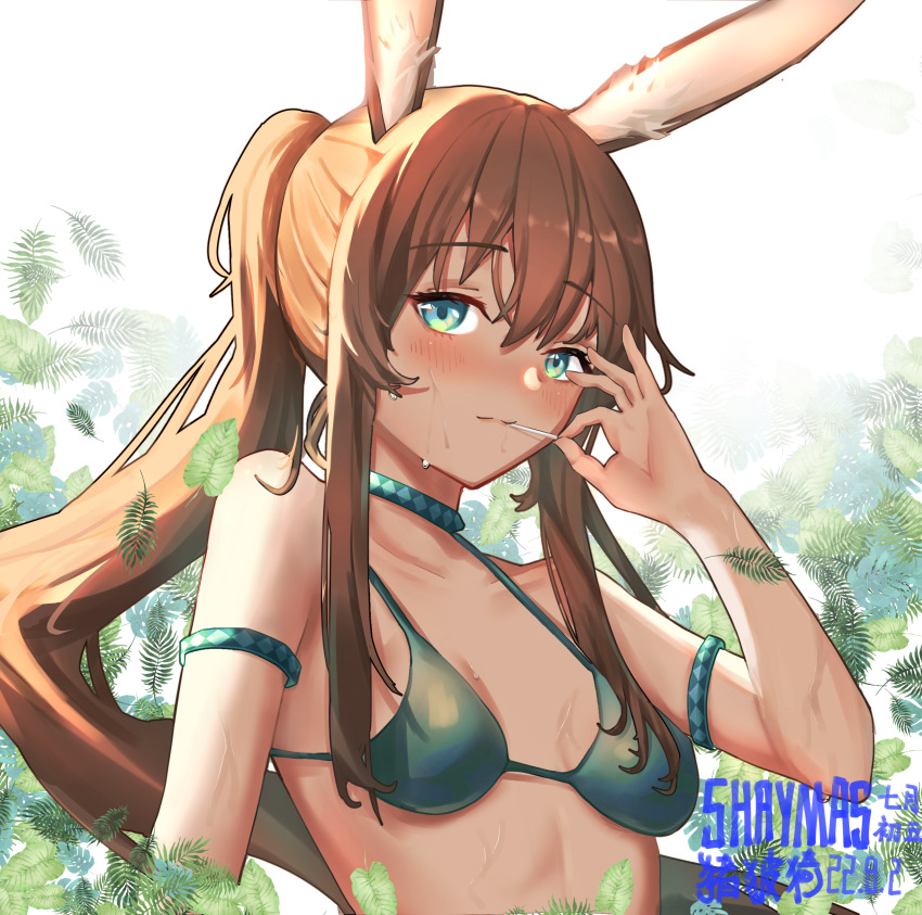 Amiya (Arknights) Rule 34 Image