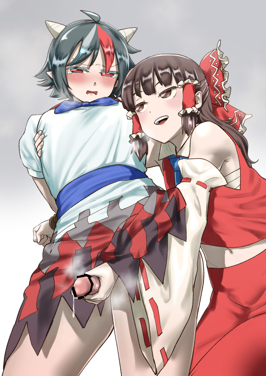 Hakurei Reimu (Touhou) Rule 34 Image