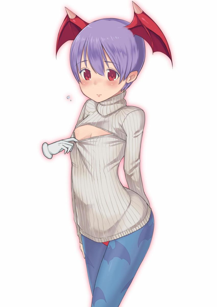 Lilith (Darkstalkers) Rule 34 Image