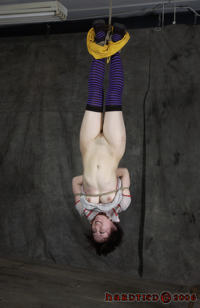 Hardtied (Copyright) Rule 34 Image