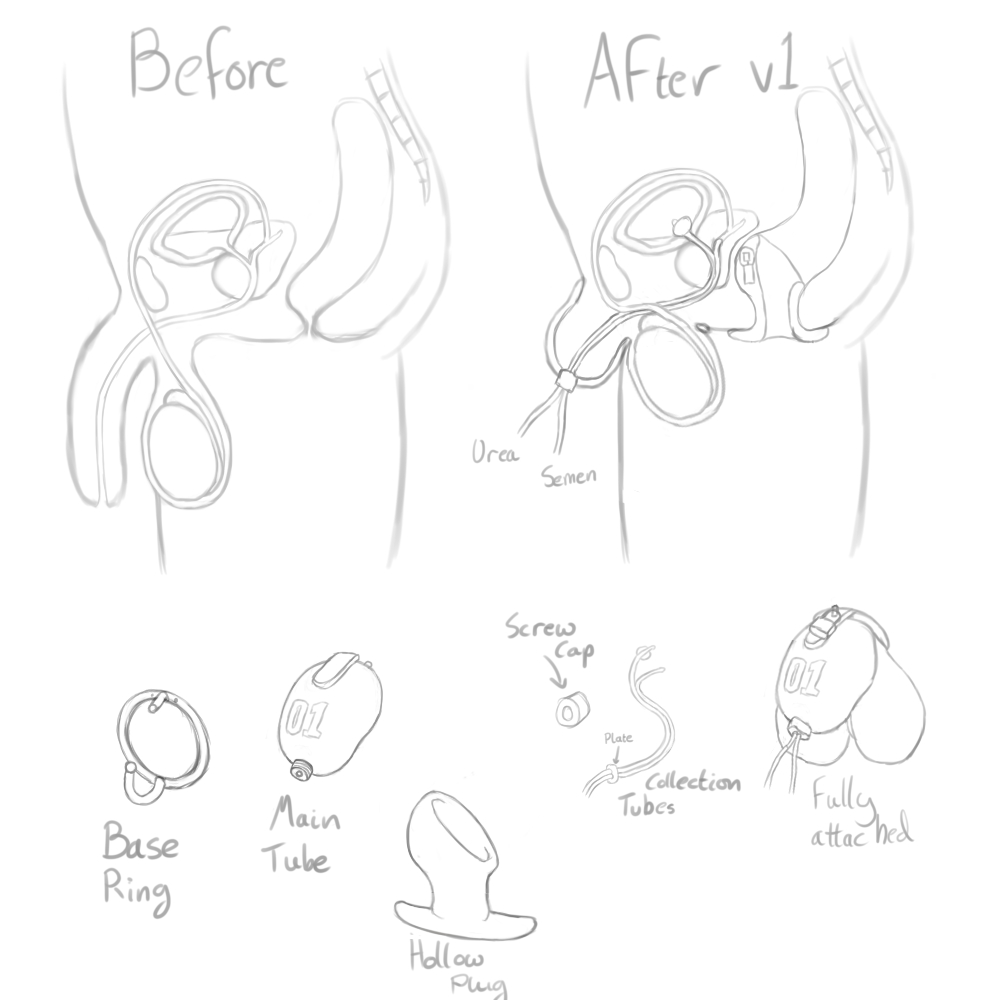 Anal Rule 34 Image