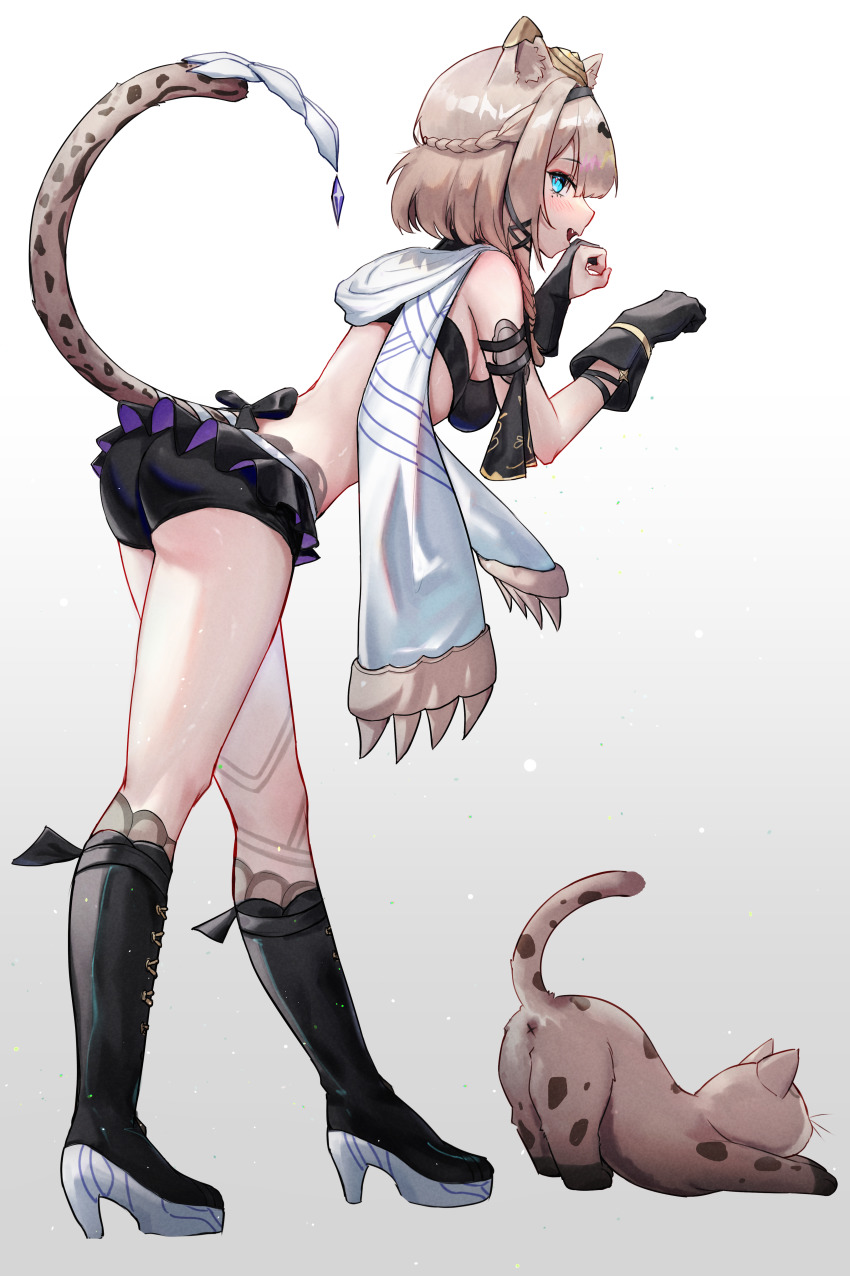 Honkai (Series) Rule 34 Image
