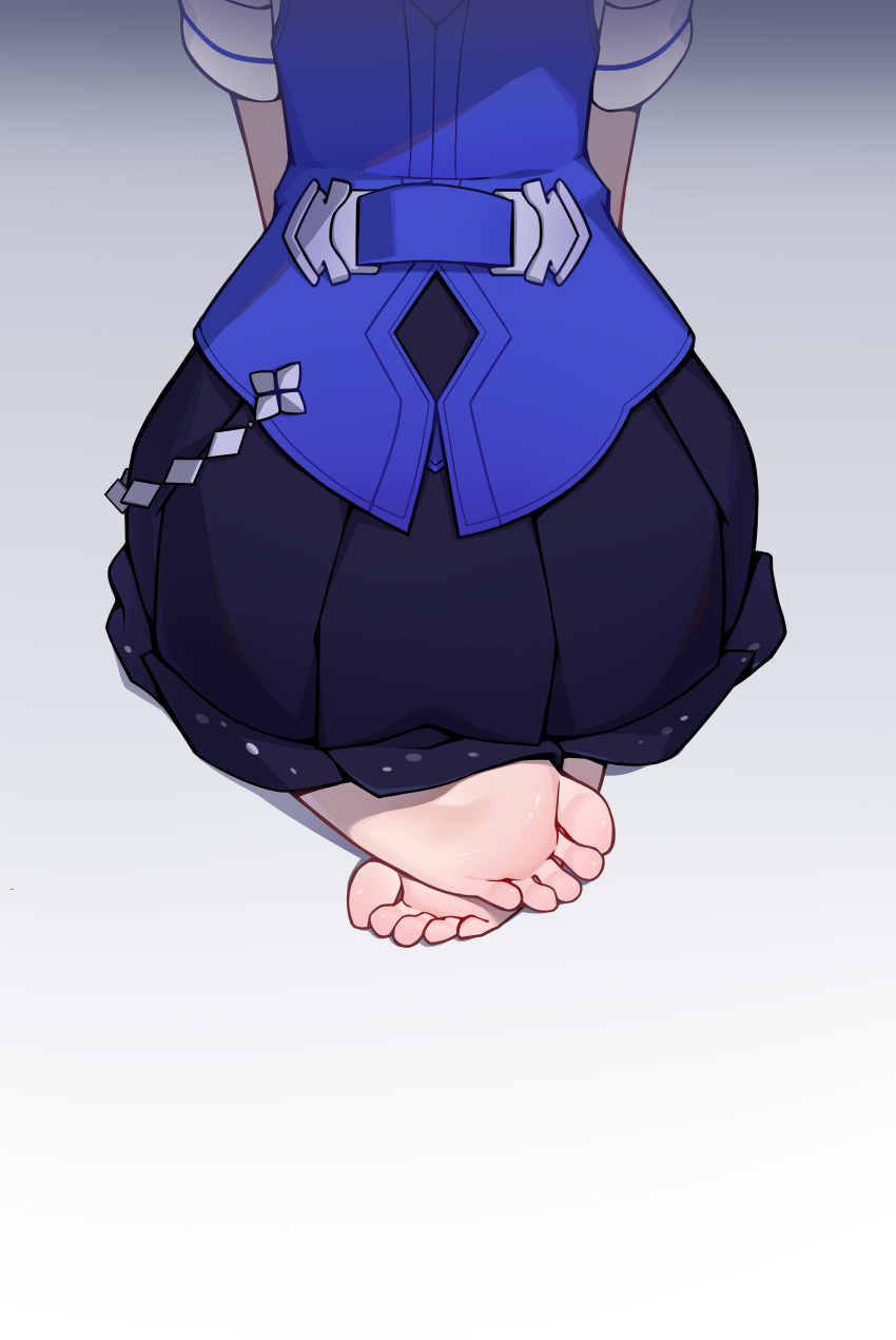 Seele Vollerei (Honkai (Series)) Rule 34 Image