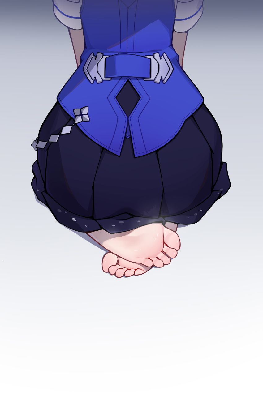 Seele Vollerei (Honkai (Series)) Rule 34 Image