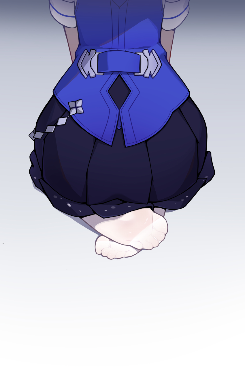 Seele Vollerei (Honkai (Series)) Rule 34 Image