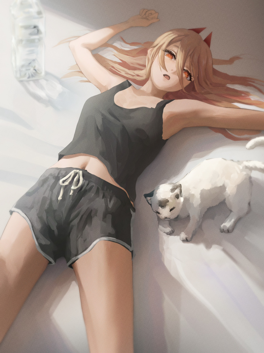 Meowy (Chainsaw Man) Rule 34 Image