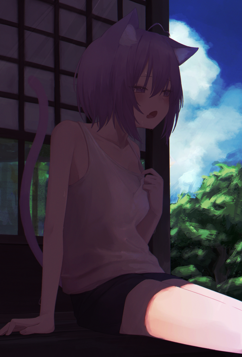 Nekomata Okayu (Hololive) Rule 34 Image