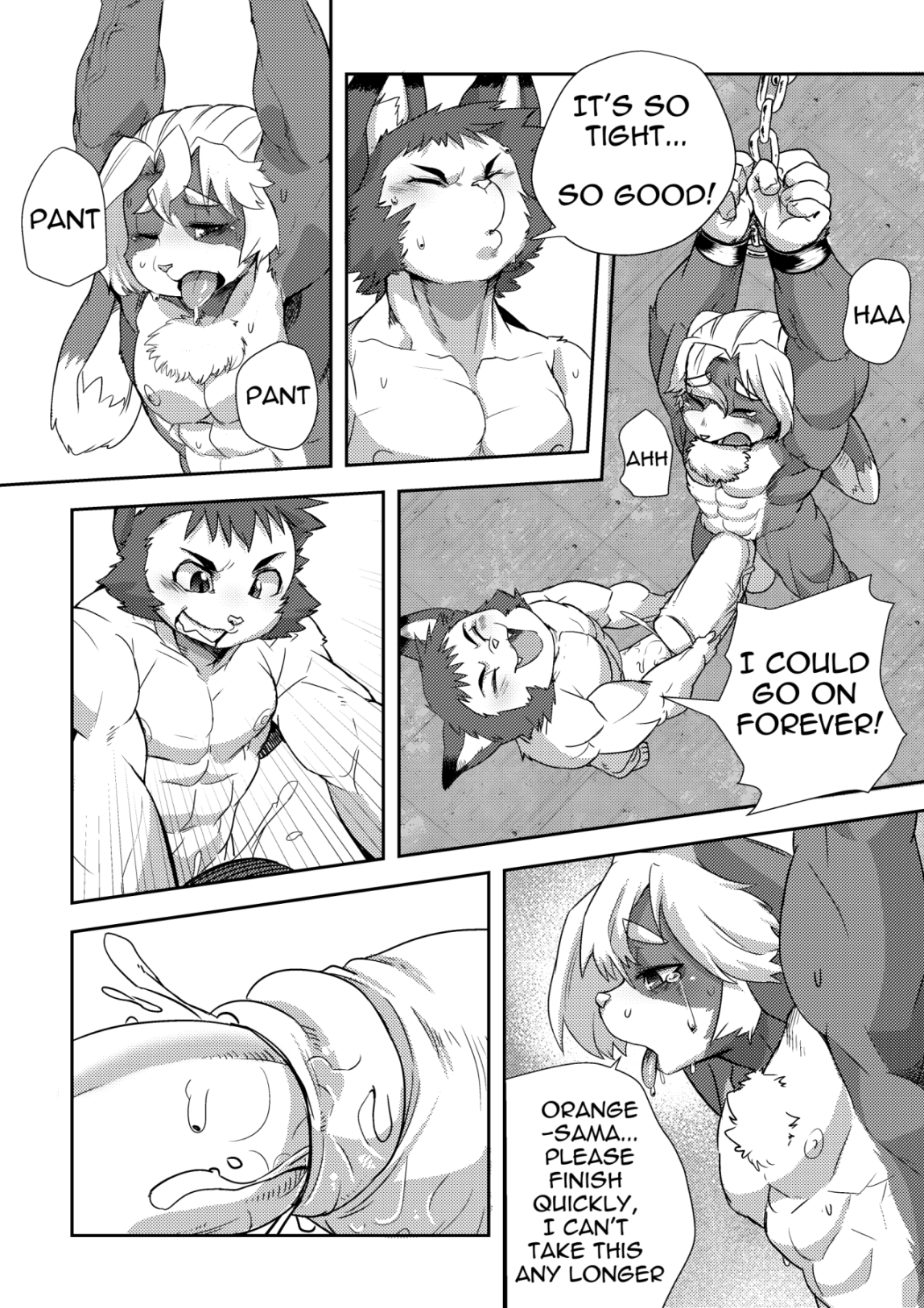 Anthro Rule 34 Image