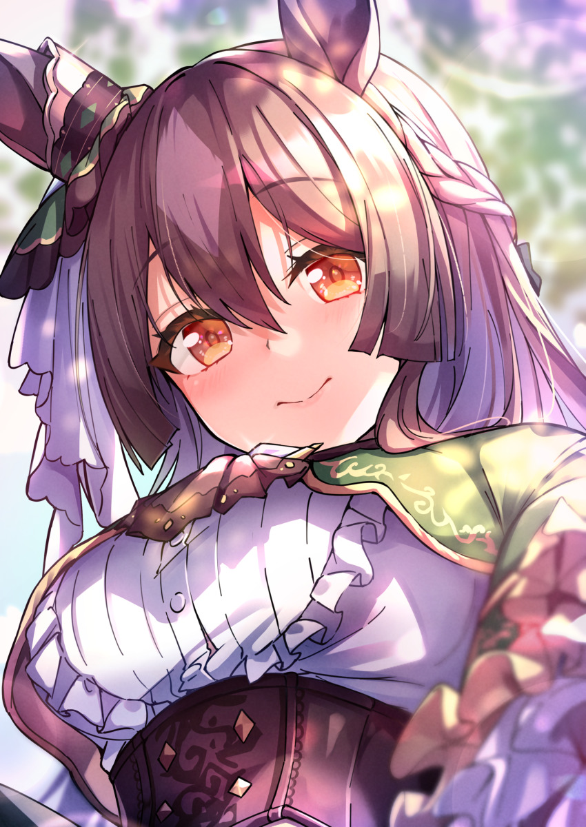 Satono Diamond (Umamusume) Rule 34 Image