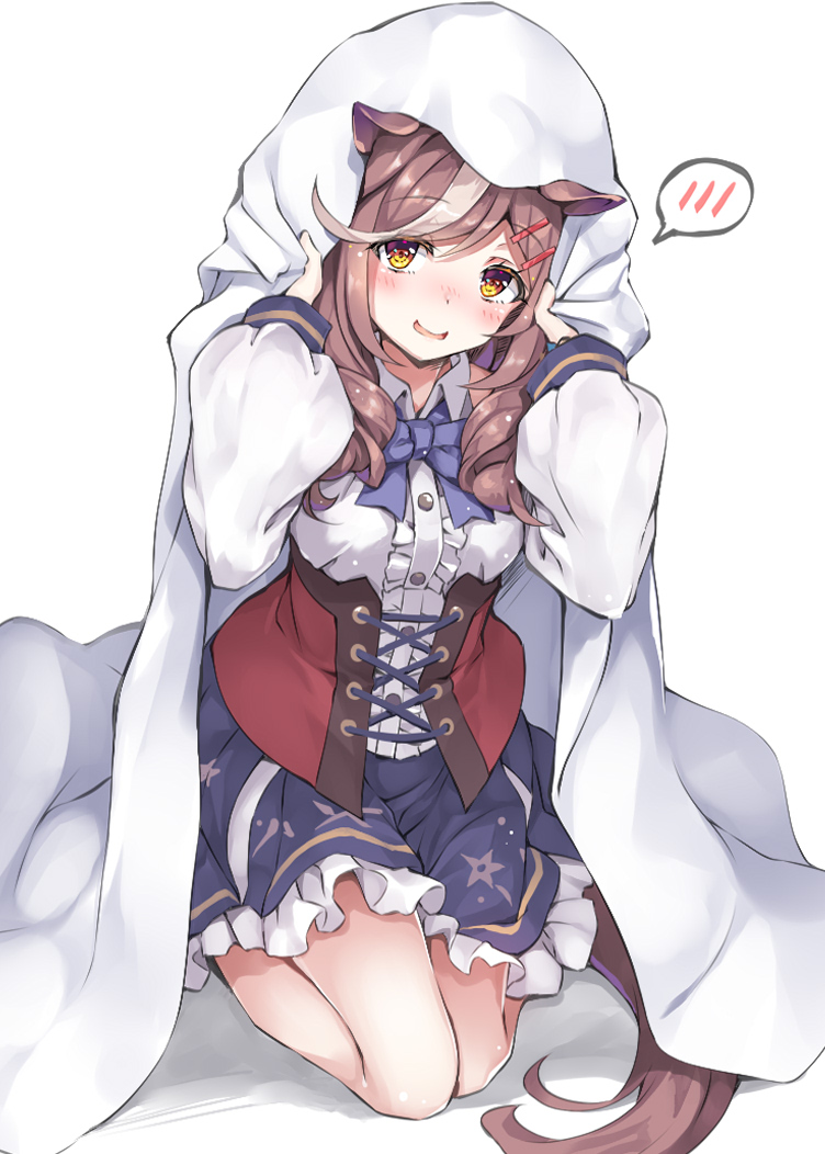 Umamusume Rule 34 Image