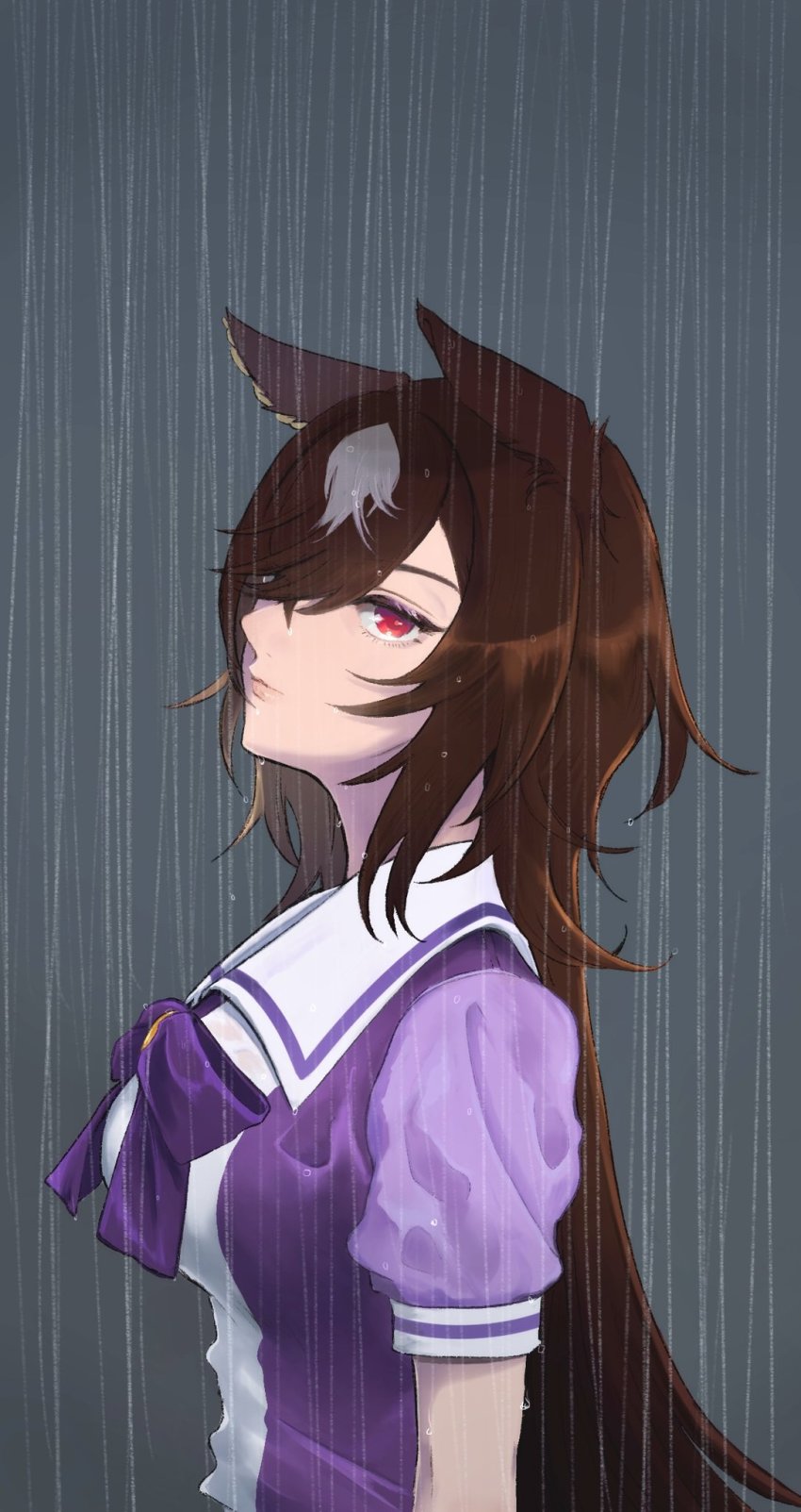 Sirius Symboli (Umamusume) Rule 34 Image