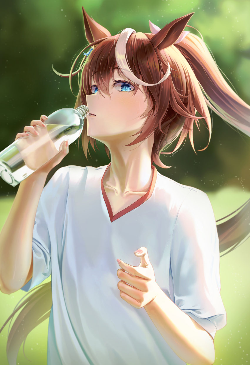 Tokai Teio (Umamusume) Rule 34 Image