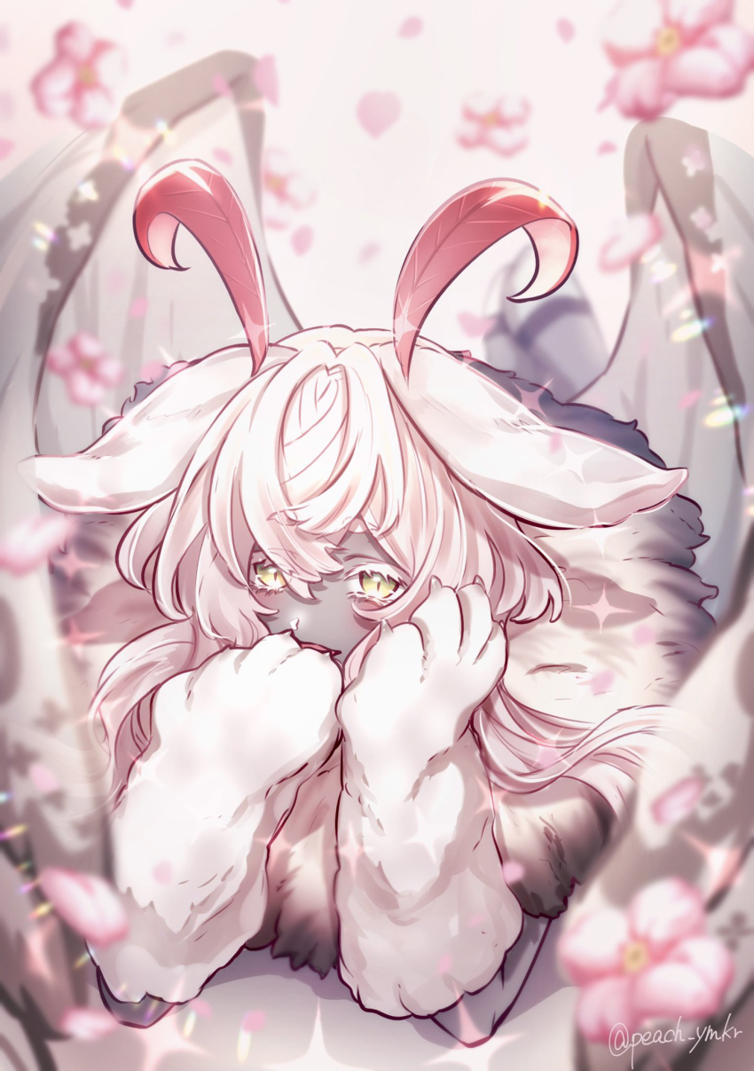 Caprice (Yumekuro) Rule 34 Image