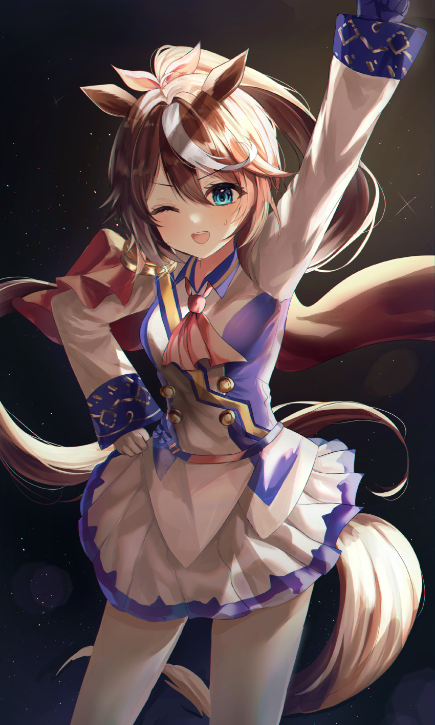 Tokai Teio (Umamusume) Rule 34 Image