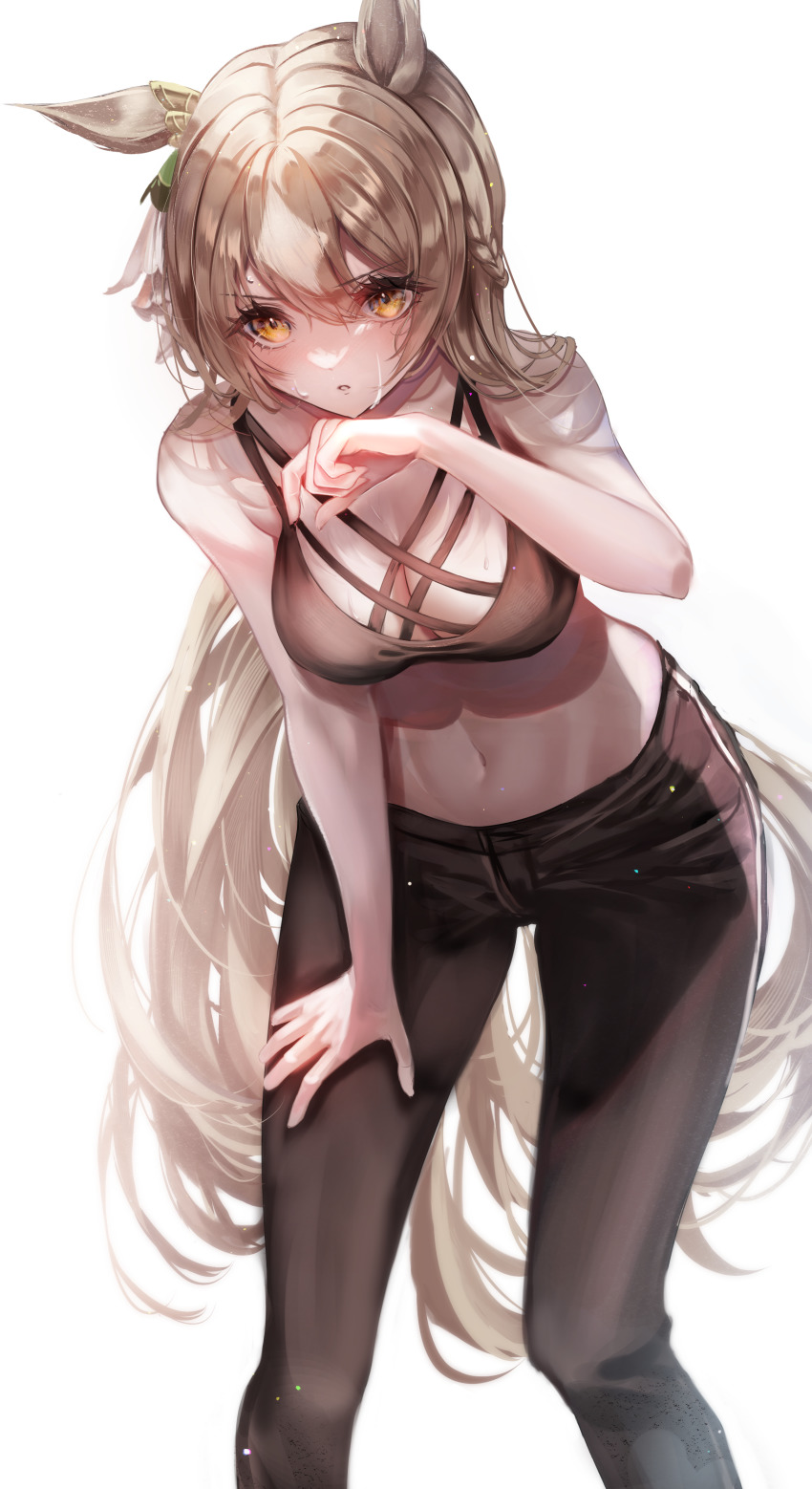 Satono Diamond (Umamusume) Rule 34 Image