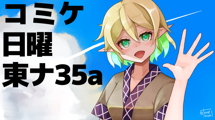 Mizuhashi Parsee (Touhou) Rule 34 Image