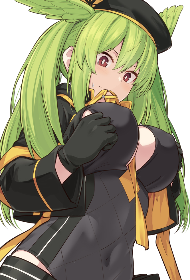 Valkyrie (Fate) Rule 34 Image
