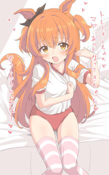 Mayano Top Gun (Umamusume) Rule 34 Image