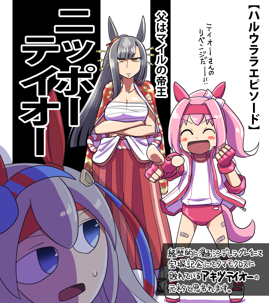Akitsu Teio (Umamusume) Rule 34 Image