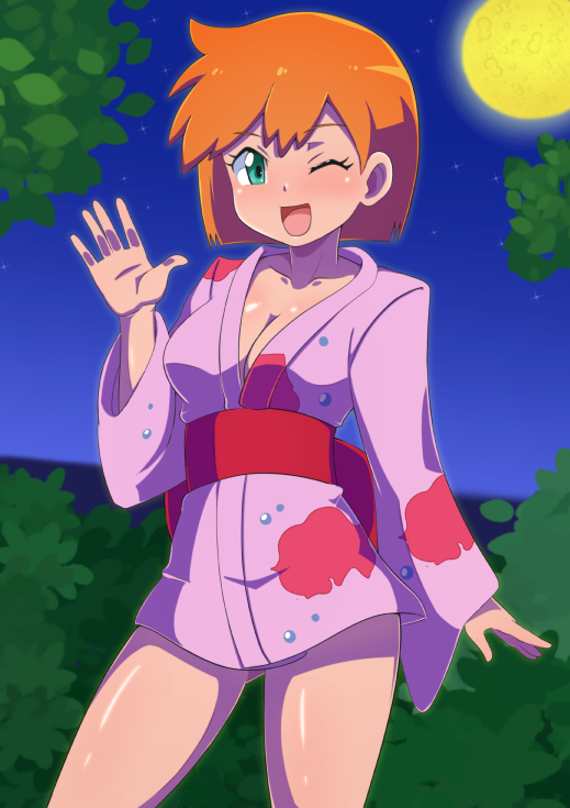 Gym Leader (Nintendo) Rule 34 Image
