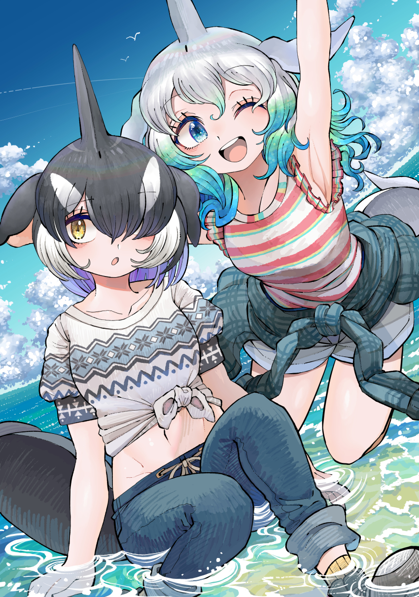 Common Bottlenose Dolphin (Kemono Friends) Rule 34 Image