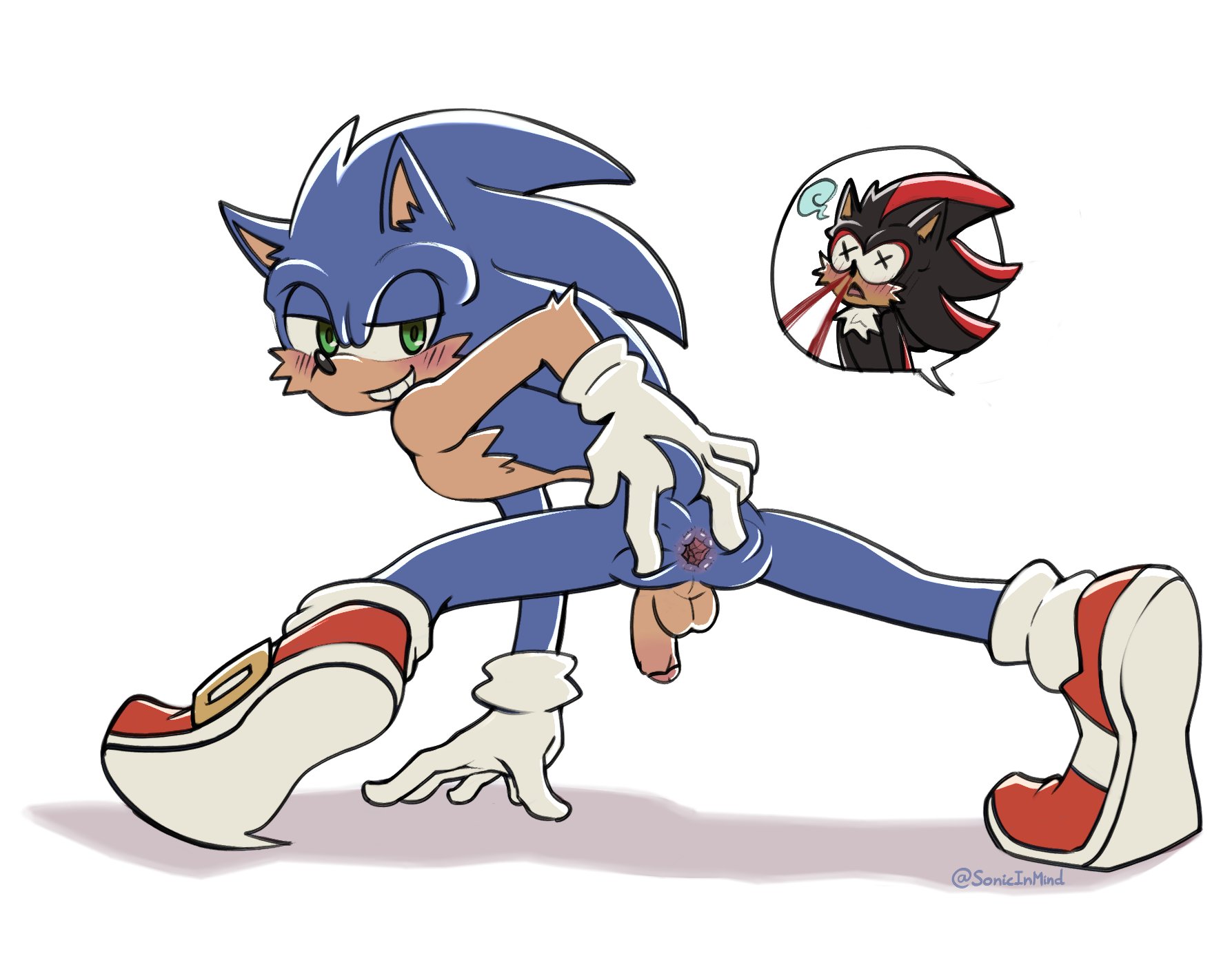 Shadow The Hedgehog (Sega) Rule 34 Image