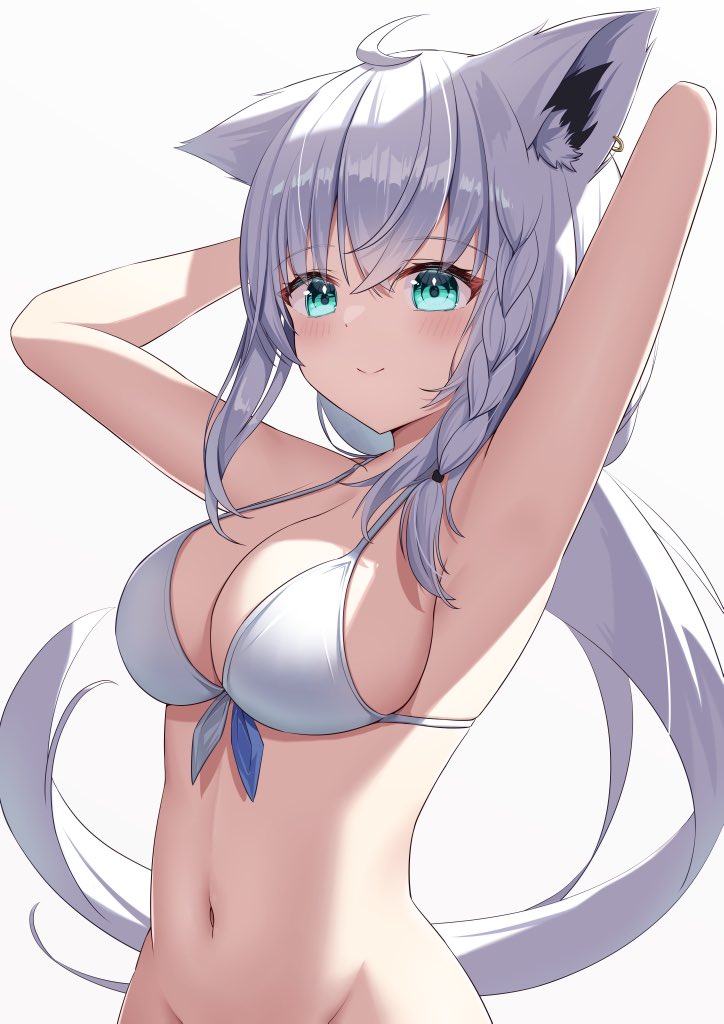 Shirakami Fubuki (Hololive) Rule 34 Image