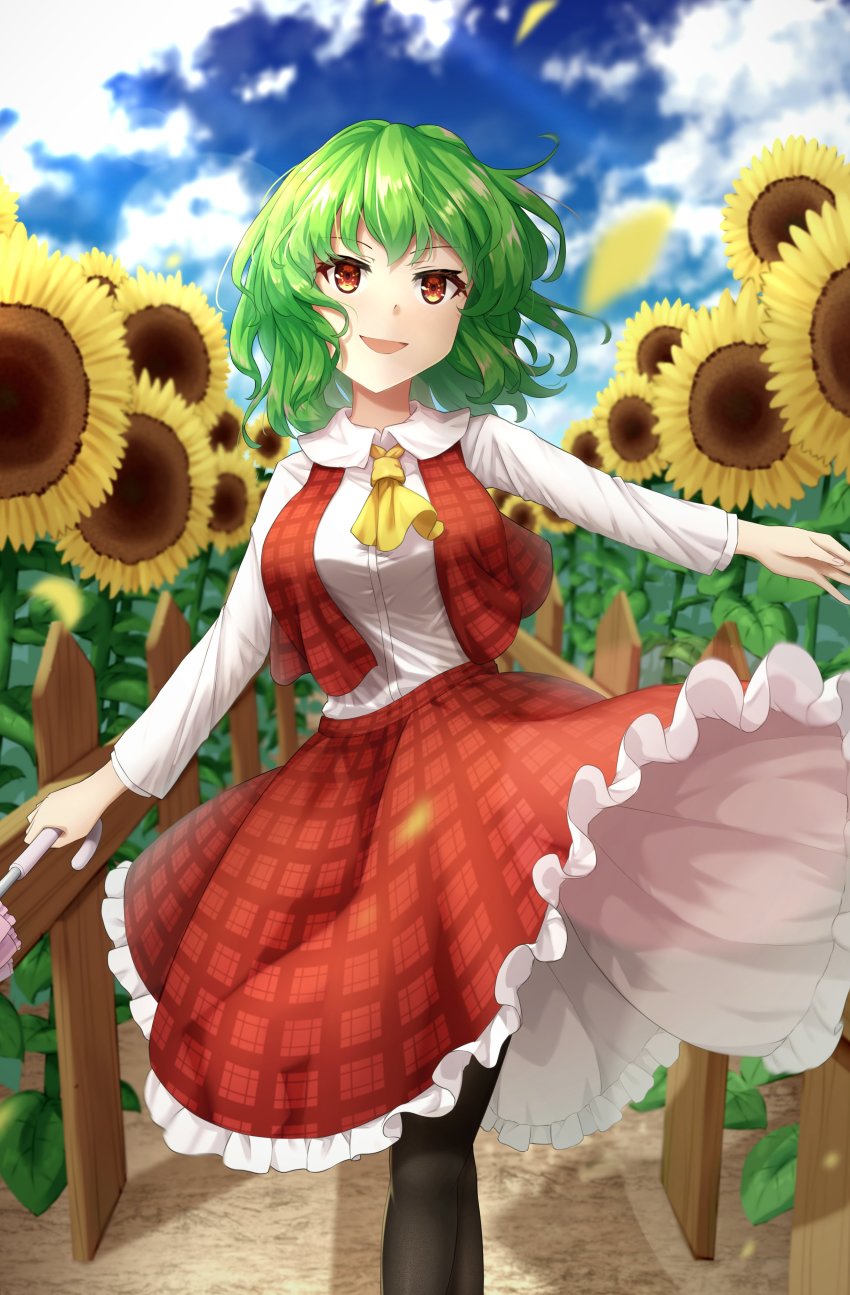 Kazami Yuuka (Touhou) Rule 34 Image