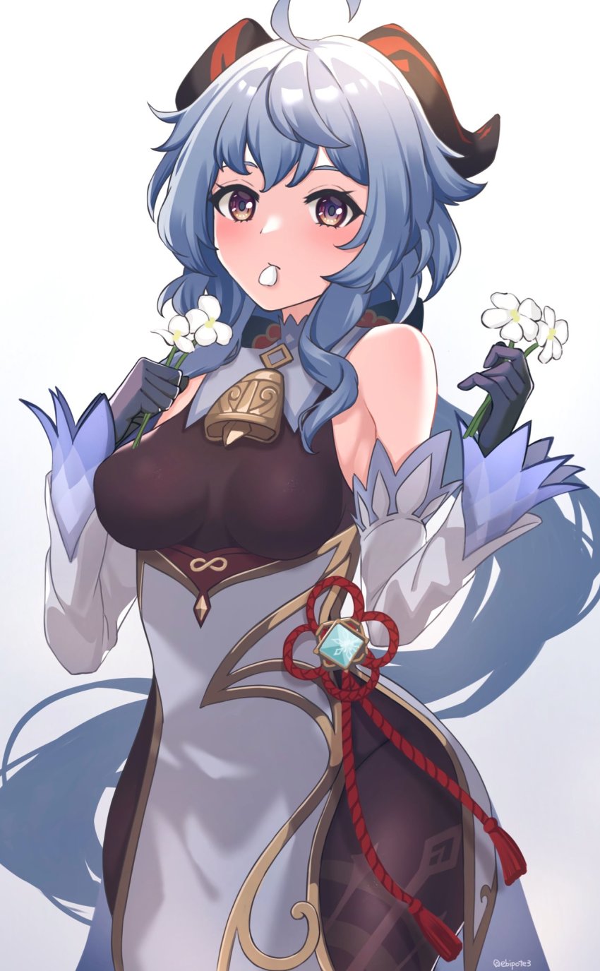 Ganyu (Genshin Impact) Rule 34 Image