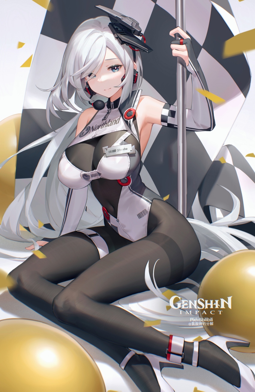Shenhe (Genshin Impact) Rule 34 Image