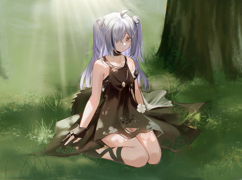 Tomimi (Arknights) Rule 34 Image