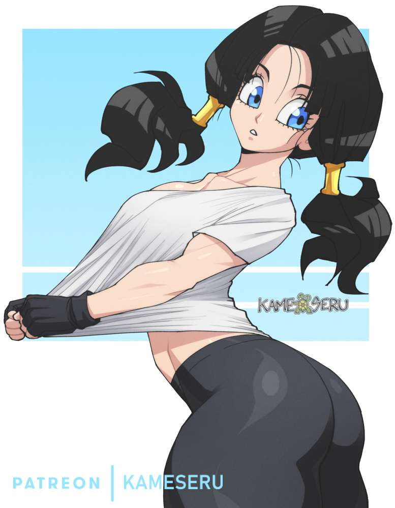 Videl (Dragon Ball) Rule 34 Image