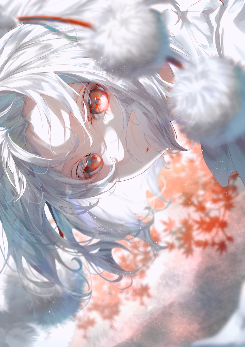 Inubashiri Momiji (Touhou) Rule 34 Image